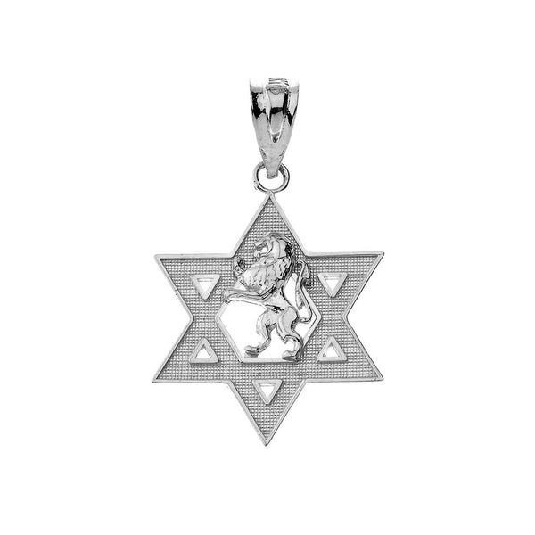 .925 Sterling Silver Star of David with Lion of Judah Pendant Necklace