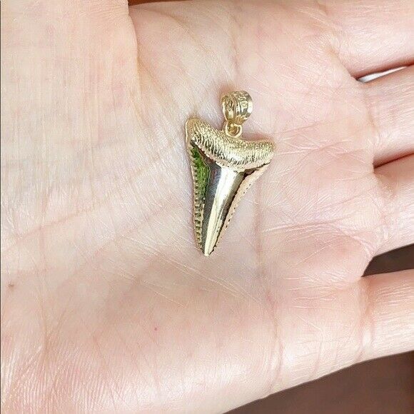 10k White Gold Polished Shark Tooth Pendant Necklace 16" 18" 20" 22"