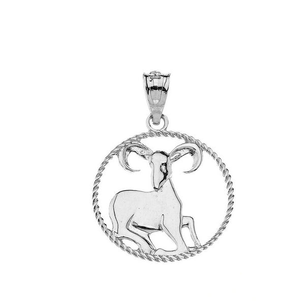 925 Sterling Silver 12 Astrological Zodiac Signs Rope Pendant Necklace