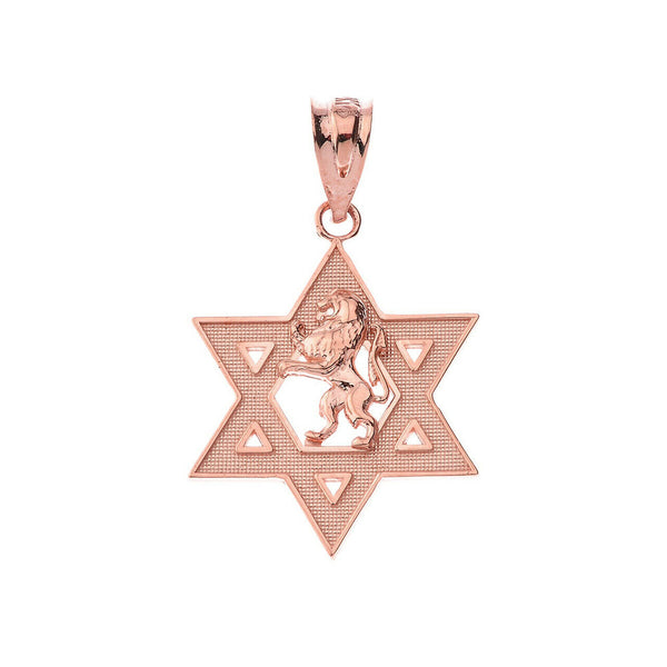 14k Solid Gold Star of David with Lion of Judah Pendant Necklace