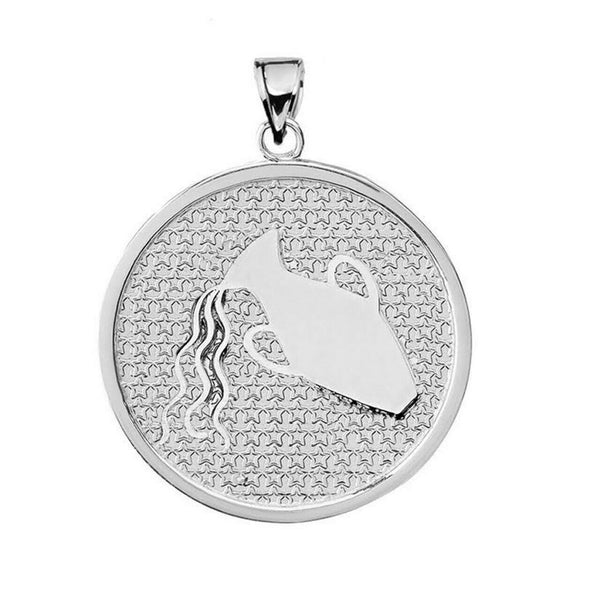 .925 Sterling Silver Zodiac Sign Aquarius Disc Pendant Necklace