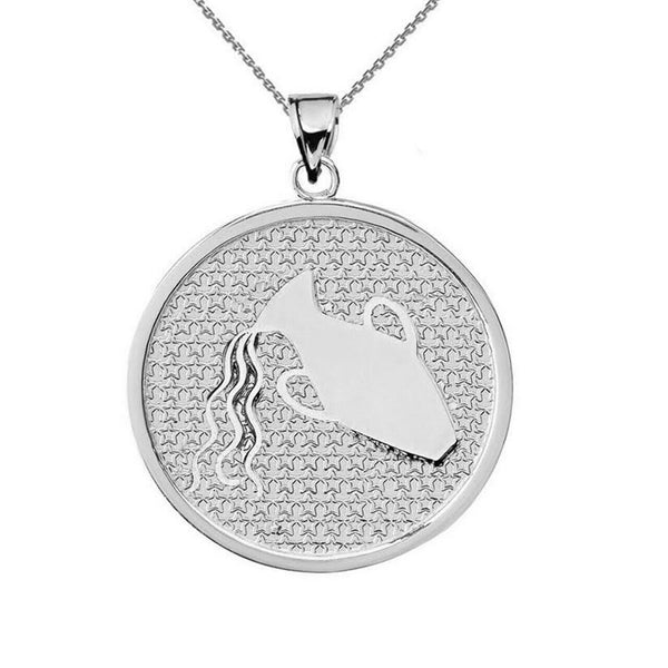.925 Sterling Silver Zodiac Sign Aquarius Disc Pendant Necklace
