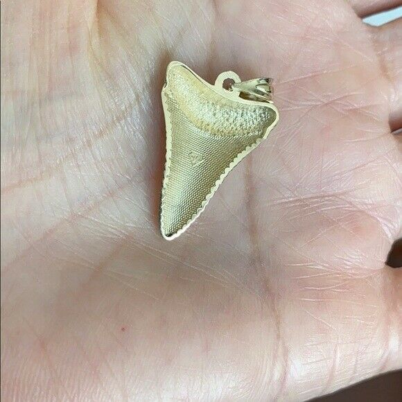 10k White Gold Polished Shark Tooth Pendant Necklace 16" 18" 20" 22"