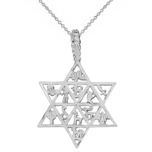 Sterling Silver Jewish Star David Charm 12 Tribes of Israel Pendant Necklace