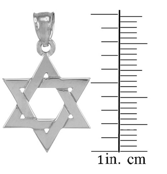 14K Solid White Gold Jewish Star of David Pendant Charm Small, Medium, Large