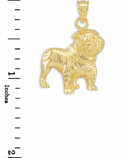 10k Yellow Gold Fresno State University FSU Bulldog Pendant Necklace